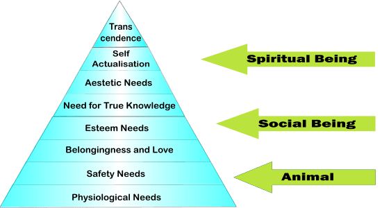 Humans as Hybrid Creatures