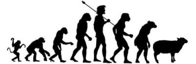 Human evolution from primate to goat