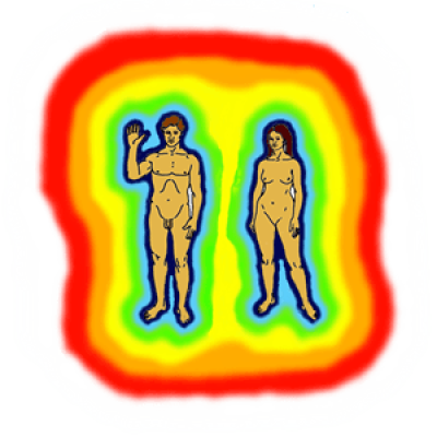 worldview holism notitle The Holistic worldview