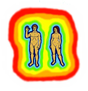 Worldview Holism 1 The Holistic worldview